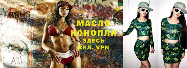 гашик Билибино