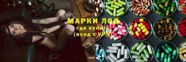 гашик Билибино