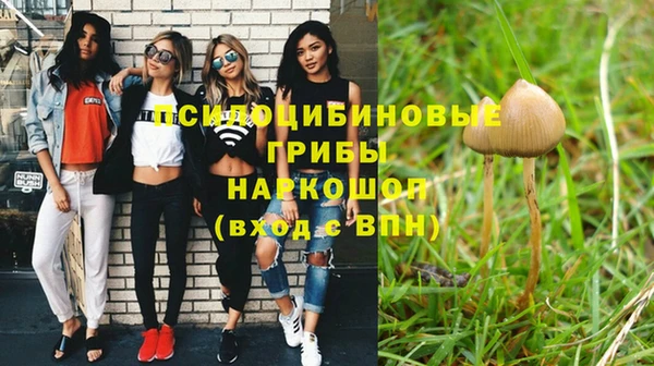 не бодяженный Пролетарск
